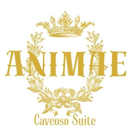 Animae Caveoso Отель типа 