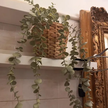 Animae Caveoso Ματέρα