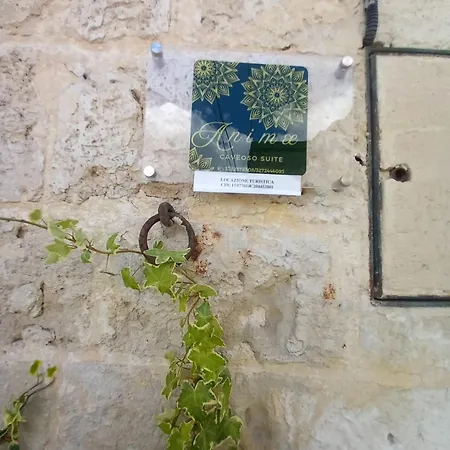 Animae Caveoso