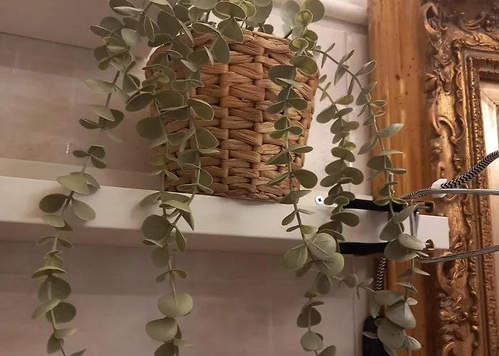 Animae Caveoso Ματέρα