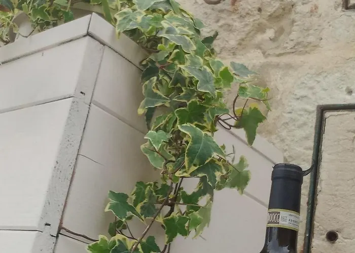 Bed and Breakfast Animae Caveoso 3*